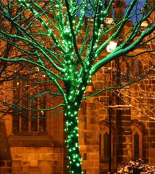 10 Metre Dış Mekan İp Led Işık Su Geçirmez - Yeşil - 4