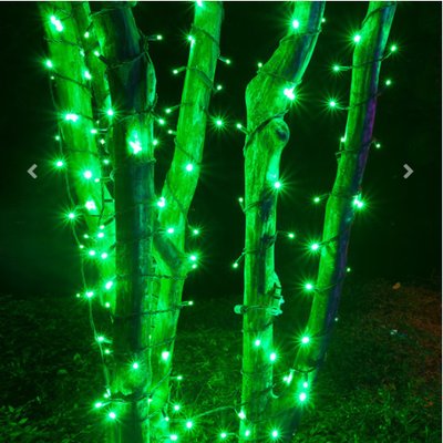 10 Metre Dış Mekan İp Led Işık Su Geçirmez - Yeşil - 1