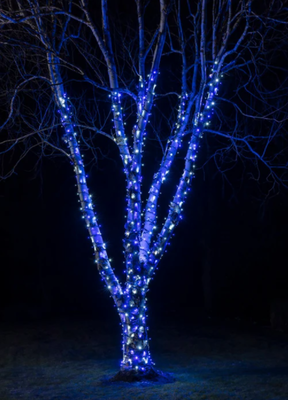 10 Metre Dış Mekan İp Led Işık Su Geçirmez - Mavi - 1