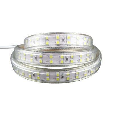 5 Metre 220V IP65 Dış Mekan Çift Sıralı Şerit LED | Su Geçirmez Hortum LED - 2