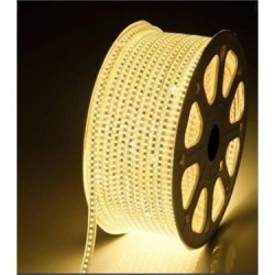 Ledreyon - 5050 Günışığı 120 Led Hortum Led 3 Çipli 220 Volt